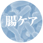 腸ケア
